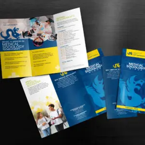 Brochure Design Service